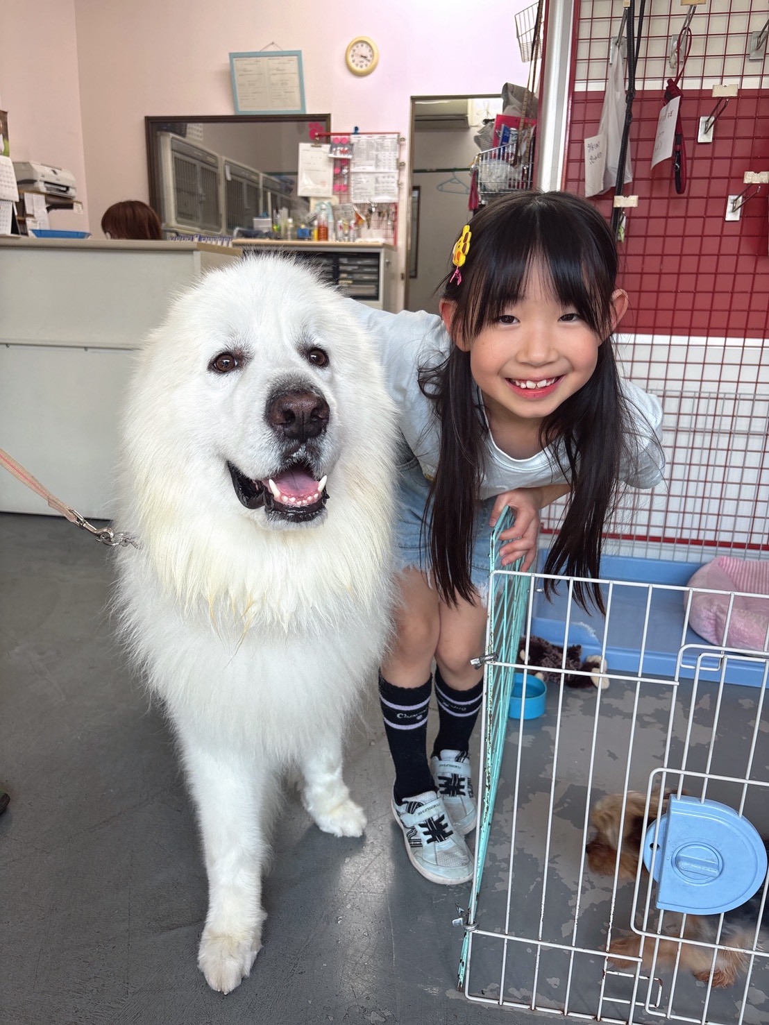 練馬区西大泉のペットサロン Pets Door に通うご家族と大型犬の笑顔